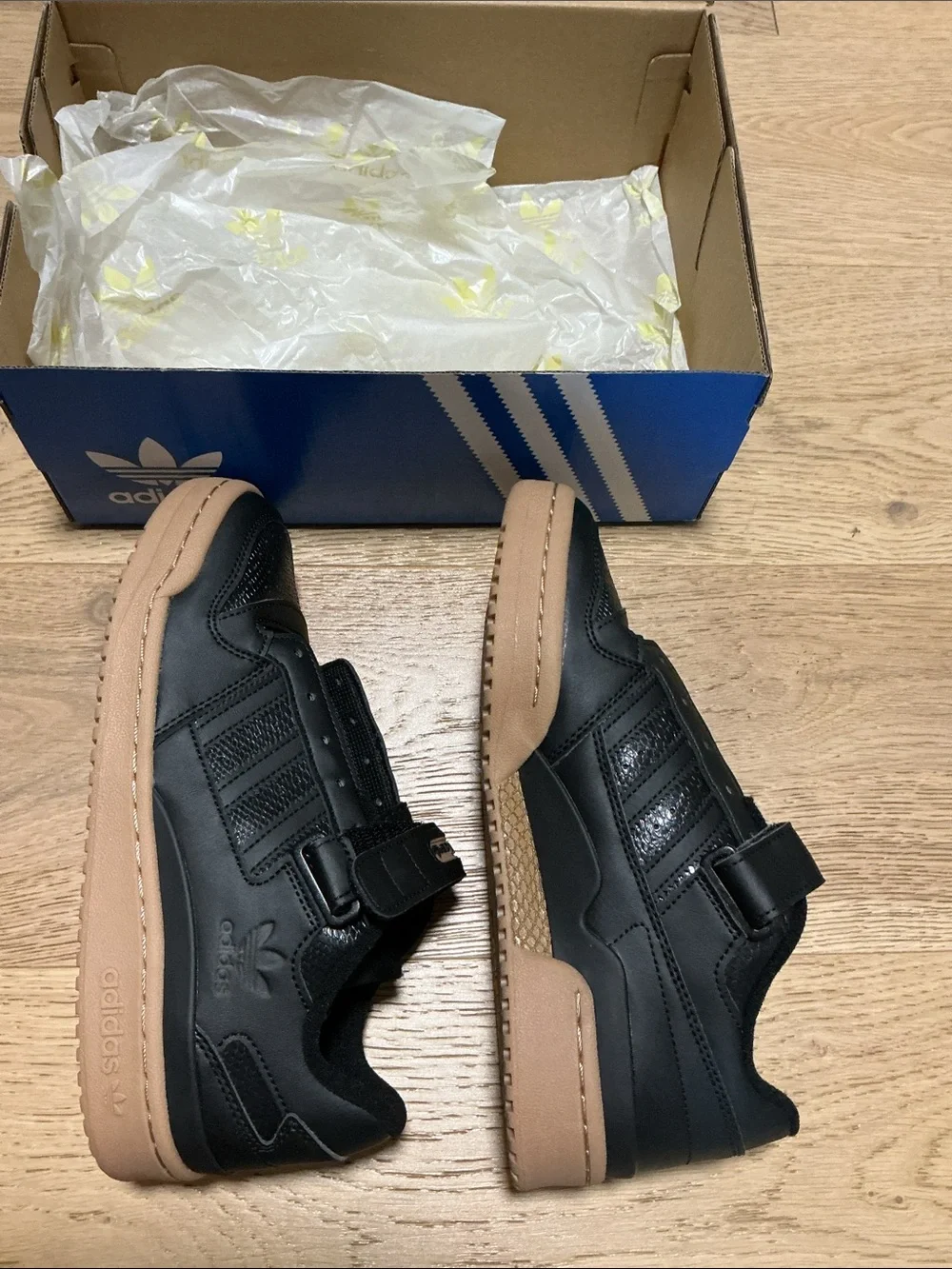 adidas Men Blue Shoe Box — Forum Low